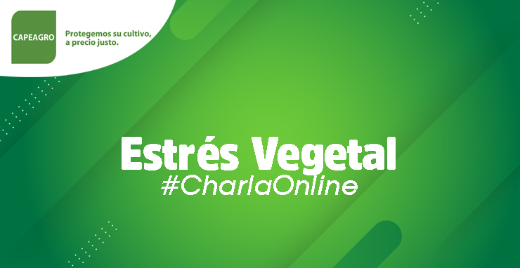 #CharlaOnline: Estrés Vegetal