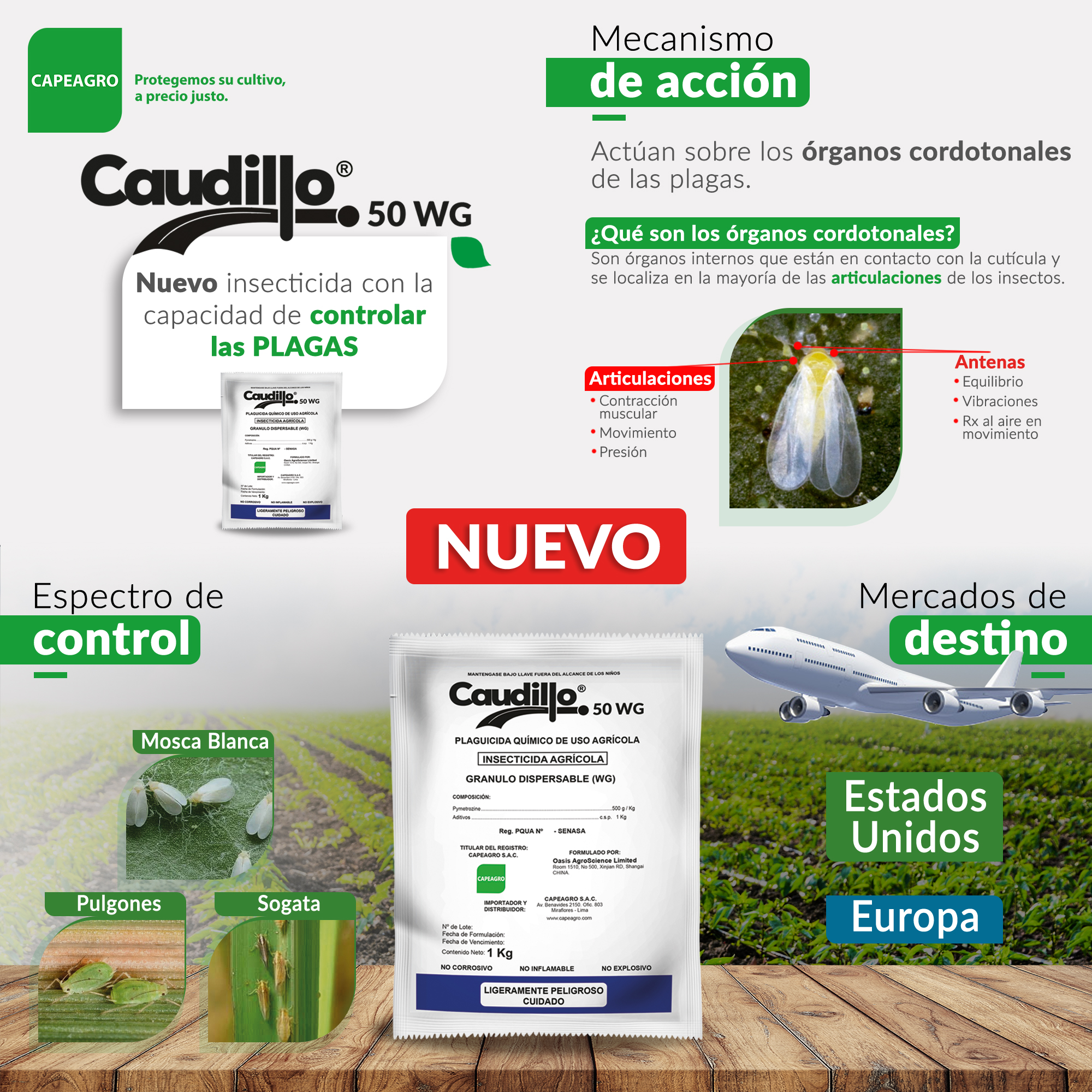 CAUDILLO 50 WC: nuevo insecticida que detiene rápidamente la alimentación de insectos picadores chupadores