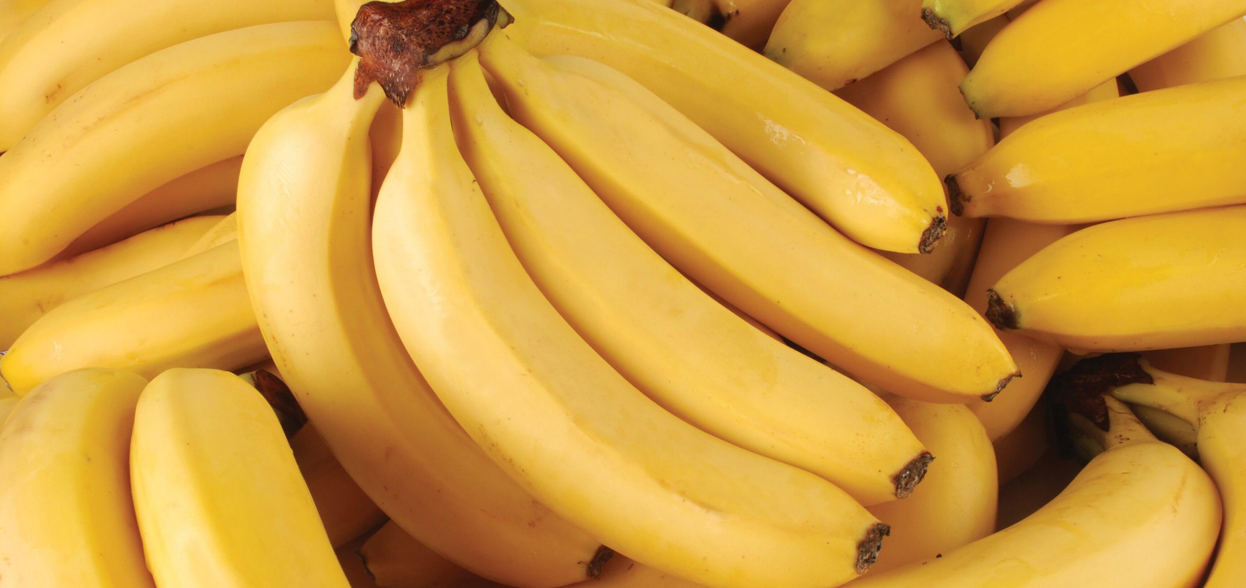 Banana / Plátano