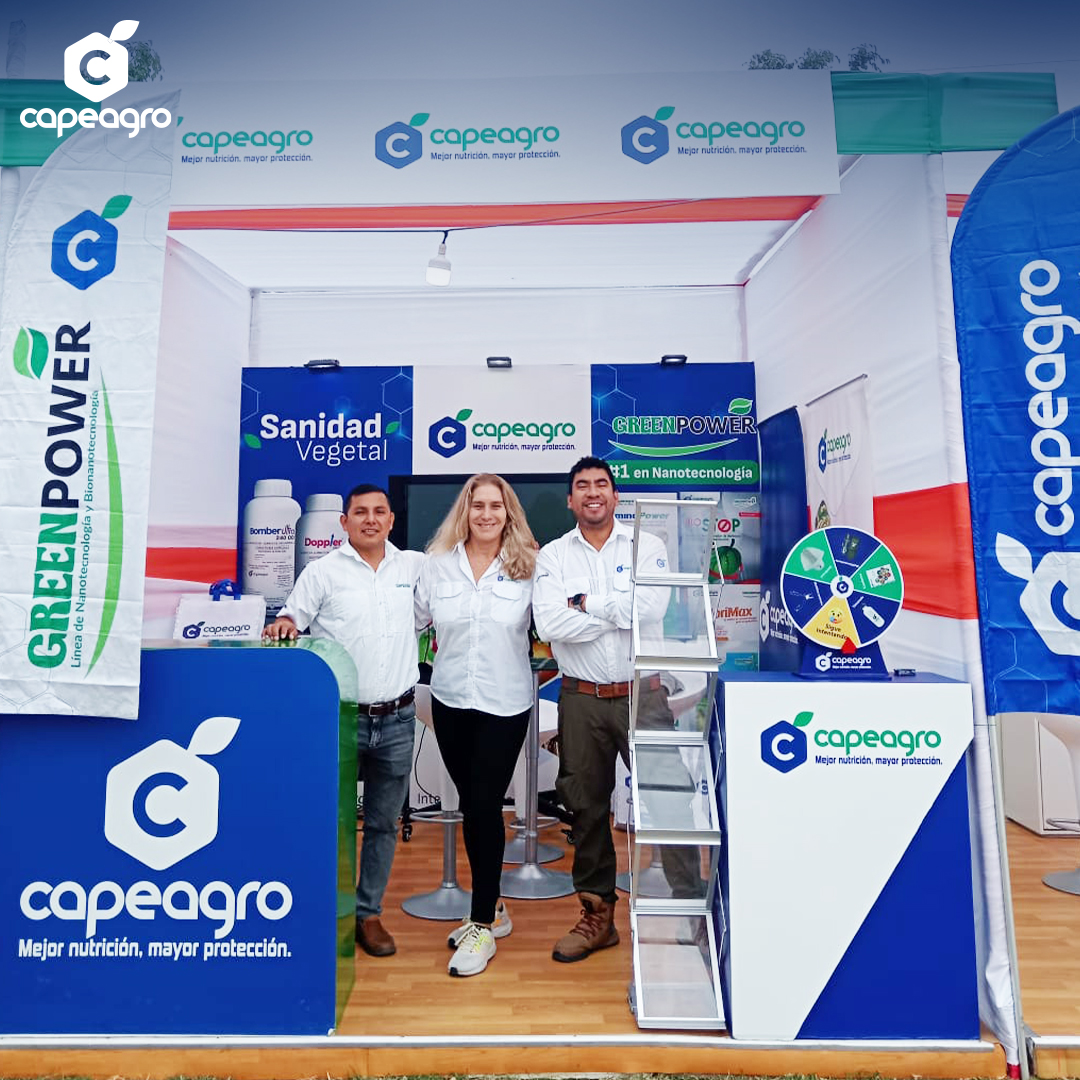 CAPEAGRO PARTICIPÓ EN EL XII CONGRESO INTERNACIONAL DE MANGO Y PALTO EN CASMA