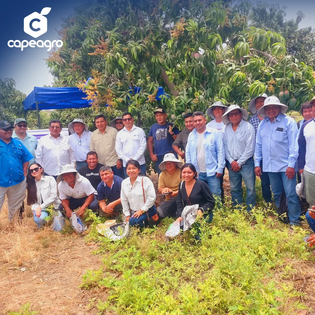 CAPEAGRO realizó día de campo enTambo Grande – Piura.