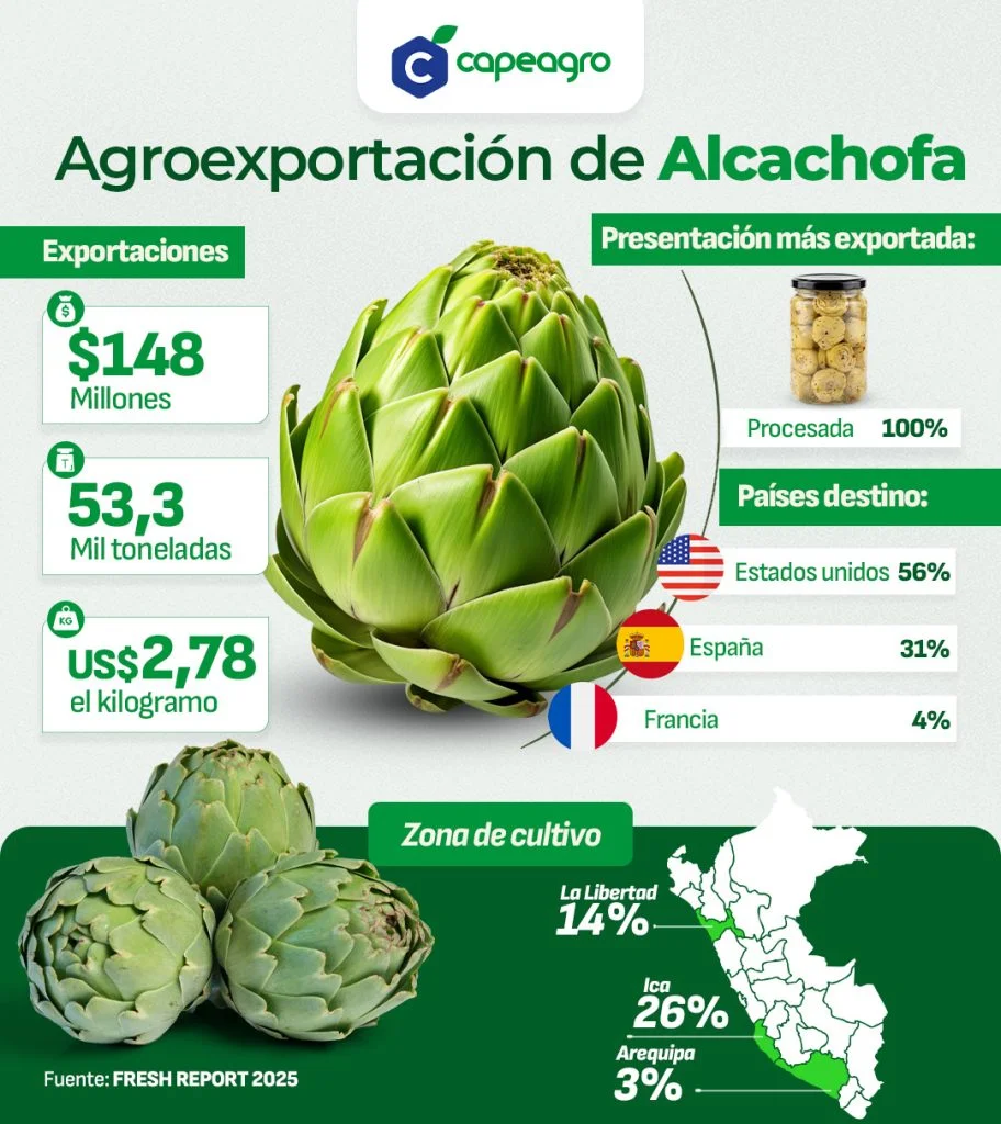 Agroexportacion de Alcachofa 1