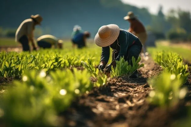 Capeagro actúa con propuestas innovadoras y responsables