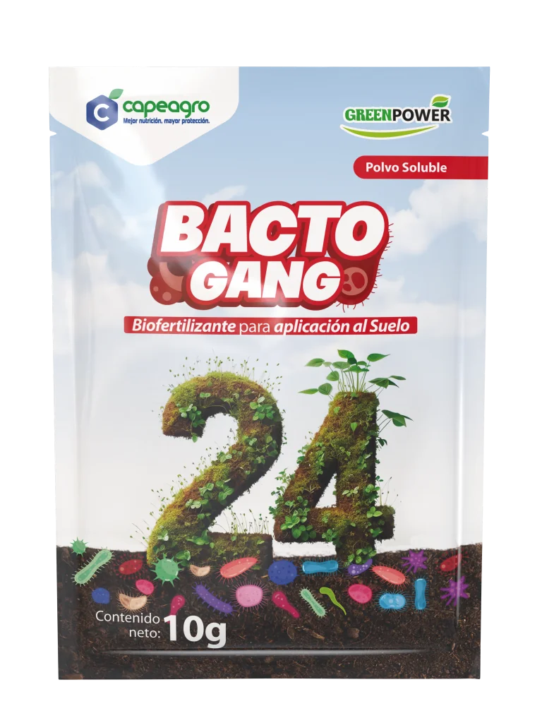 BACTOGANG 24