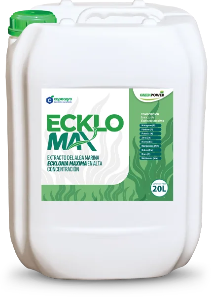 ECKLOMAX