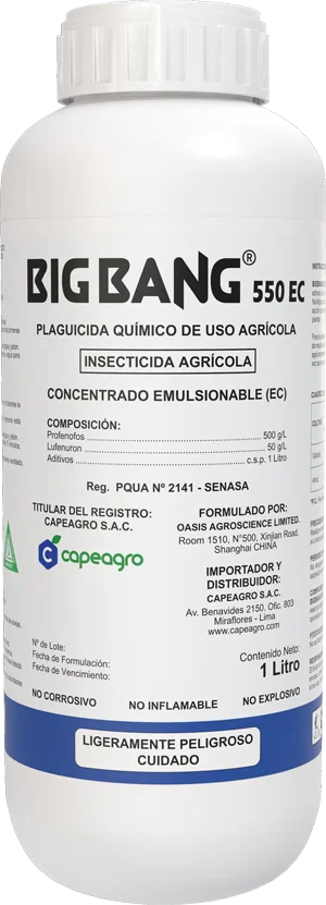 BIG BANG 550 EC