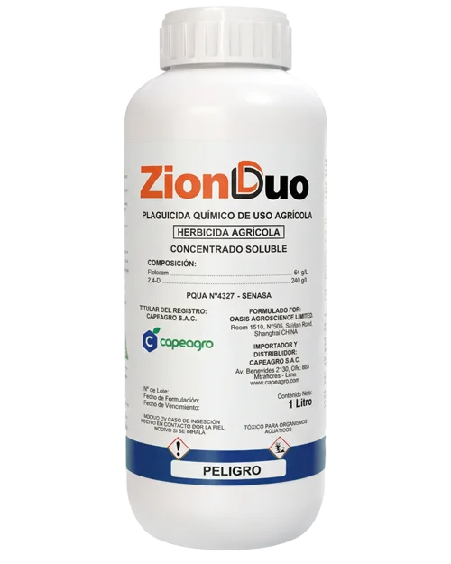 ZION DUO