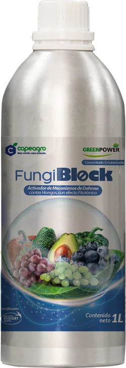 FUNGIBLOCK