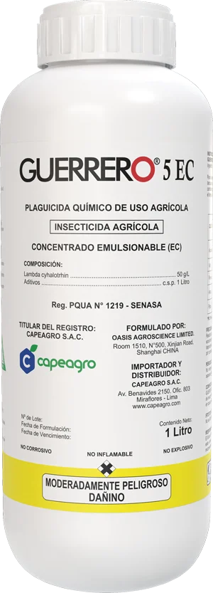 GUERRERO 5 EC