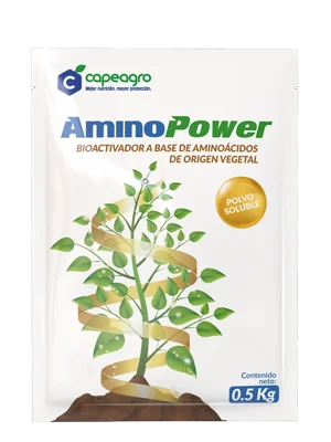 AMINOPOWER