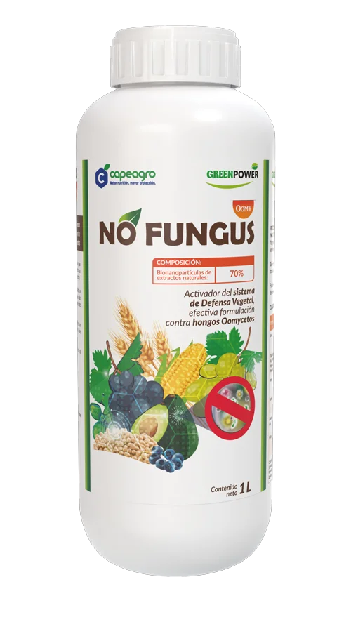 NO FUNGUS OOMY