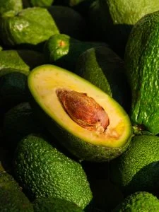 Palto