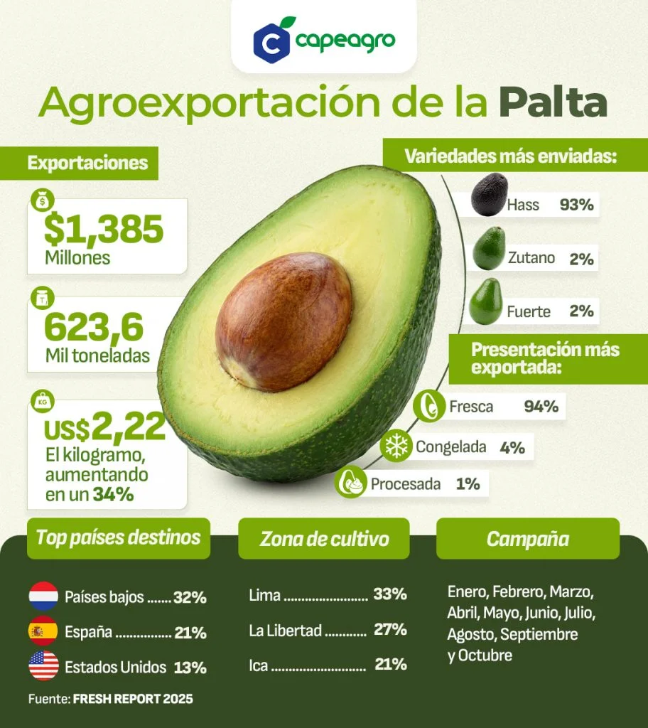 Agroexportacion de la Palta 1 1