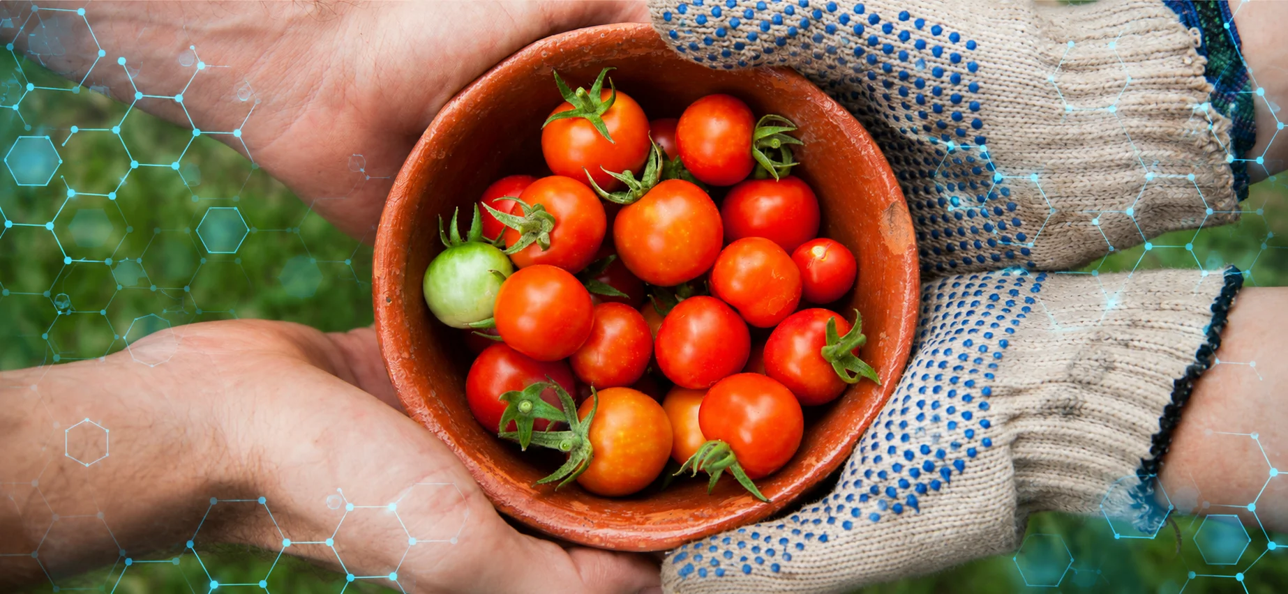 Bionanotecnología, el gran aliado para afrontar los desafíos productivos de la agricultura de hoy