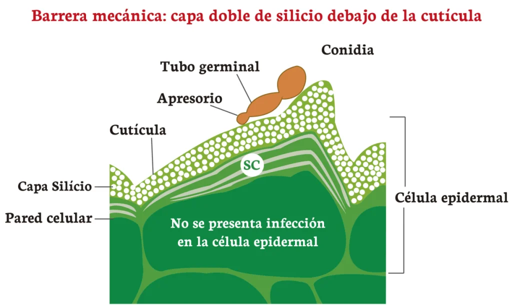 DetalleDeBlog 10 1