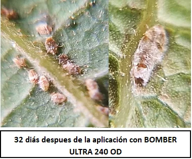 DetalleDeBlog 11 3 2