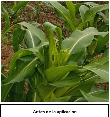 DetalleDeBlog 12 3 1