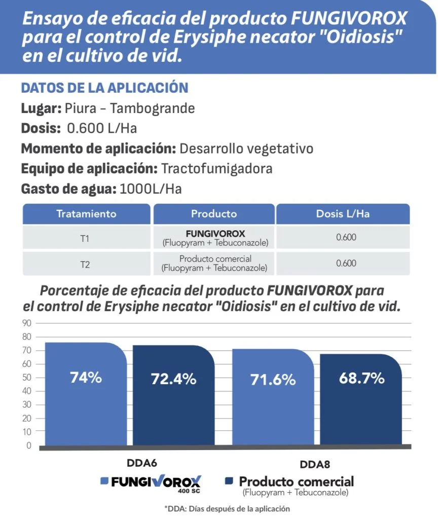 DetalleDeBlog 1 1