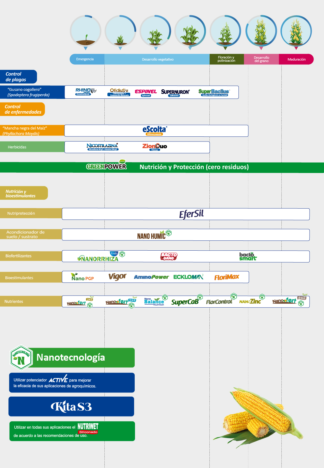 Plan Fitosanitario Maíz