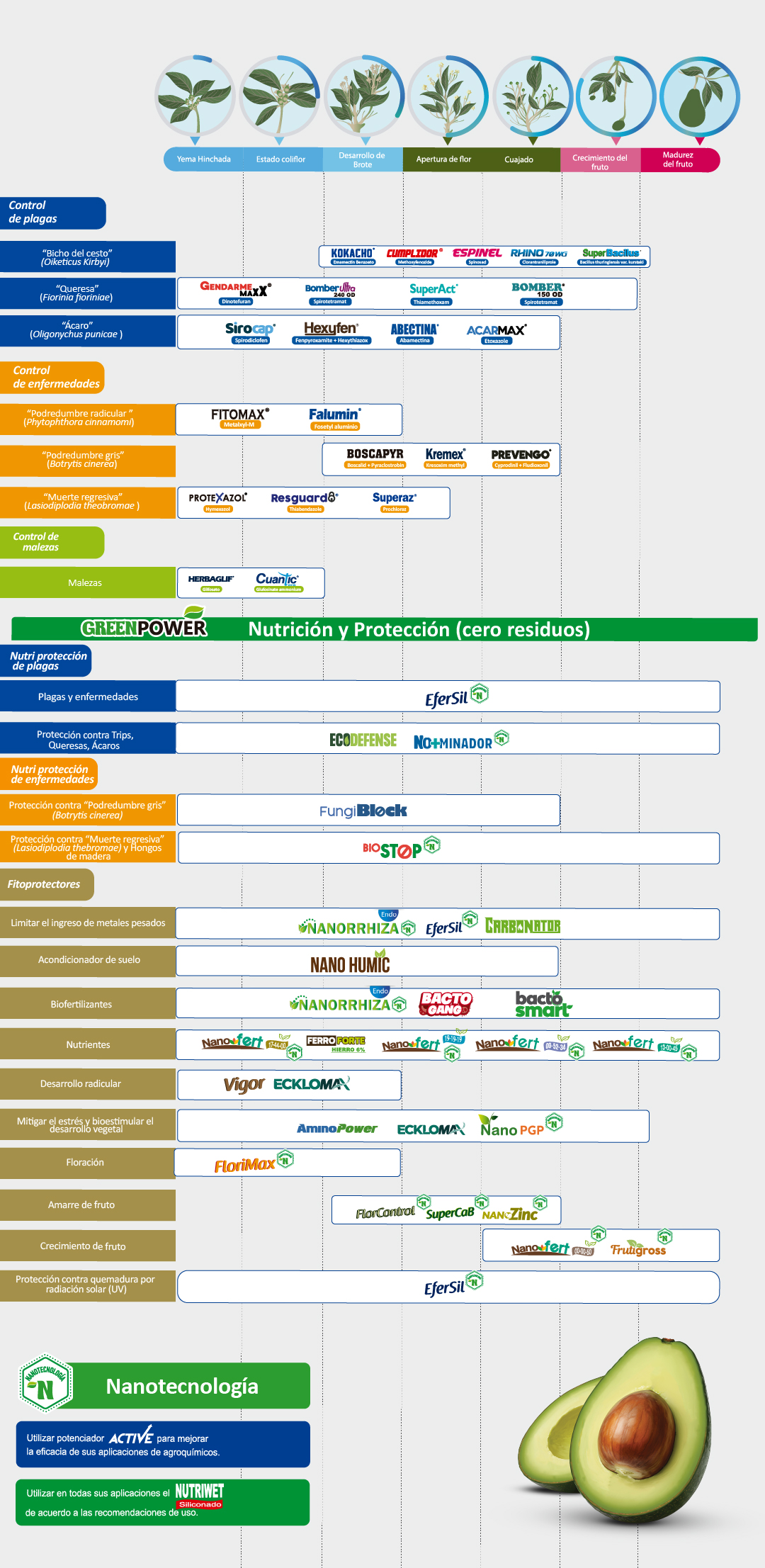 Plan Fitosanitario Palto