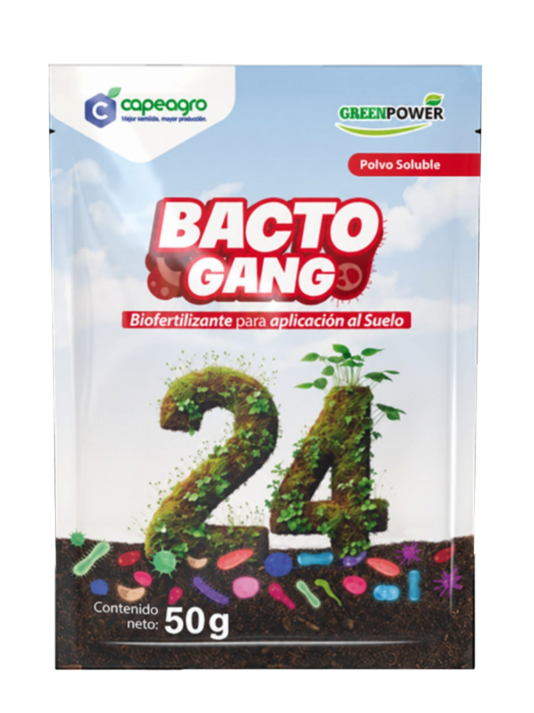 BACTOGANG 24